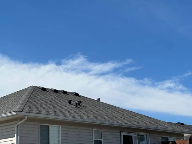 Professional Roof Repair & Installaion in Ambridge, PA